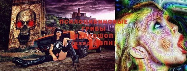 круглые Алзамай