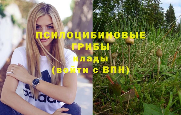 круглые Алзамай