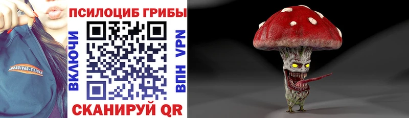 Псилоцибиновые грибы мицелий  как найти закладки  Пучеж 